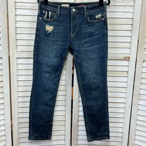 Anthropologie Pilcro Heritage Boyfriend Jeans 25