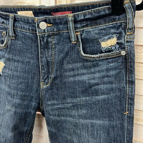 Anthropologie Pilcro Heritage Boyfriend Jeans 25