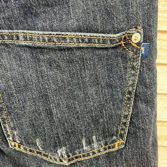Anthropologie Pilcro Heritage Boyfriend Jeans 25