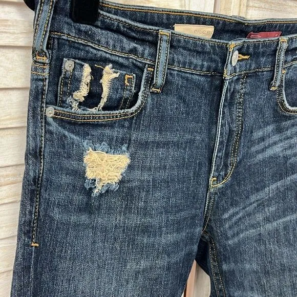 Anthropologie Pilcro Heritage Boyfriend Jeans 25