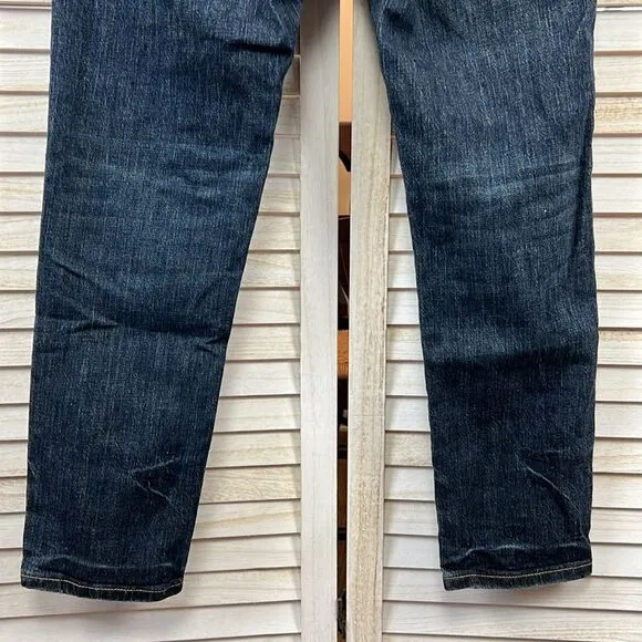 Anthropologie Pilcro Heritage Boyfriend Jeans 25