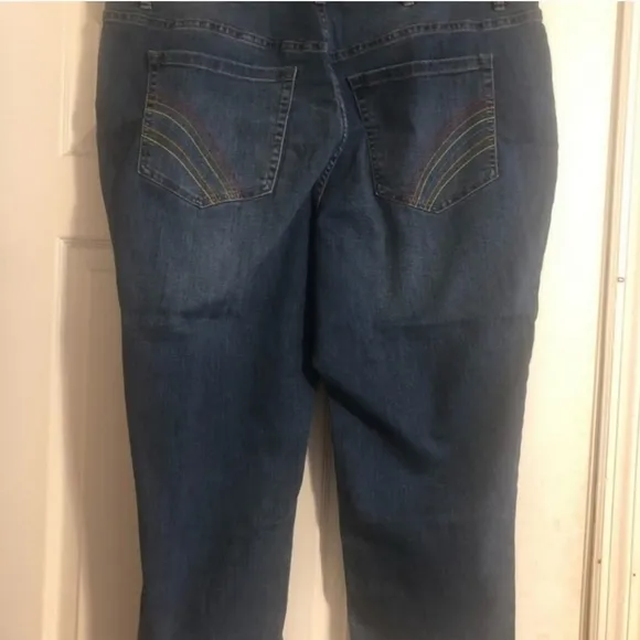 LANE BRYANT High Rise Rainbow Straight Leg Crop Jeans Size 24