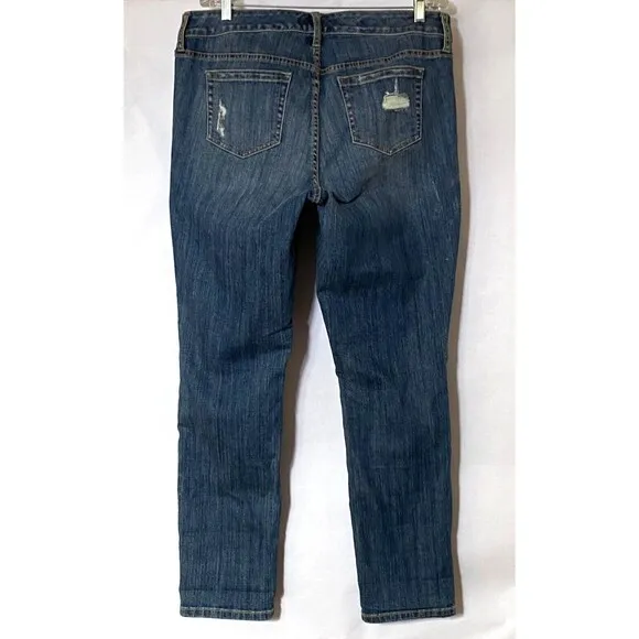 Torrid Premium Jeans 14 Blue Med Wash Boyfriend Distressed American Dreamer NWT