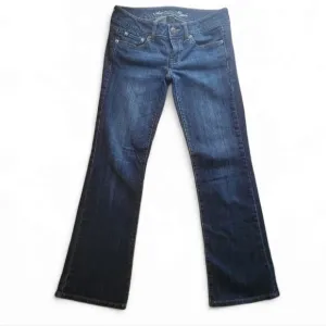 Y2K American Eagle low-rise favorite boyfriend jeans 2 short